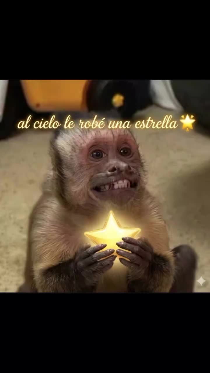 @ℙ𝕣𝕚𝕤𝕔𝕚𝕝𝕒🥰❤️🙉🙈