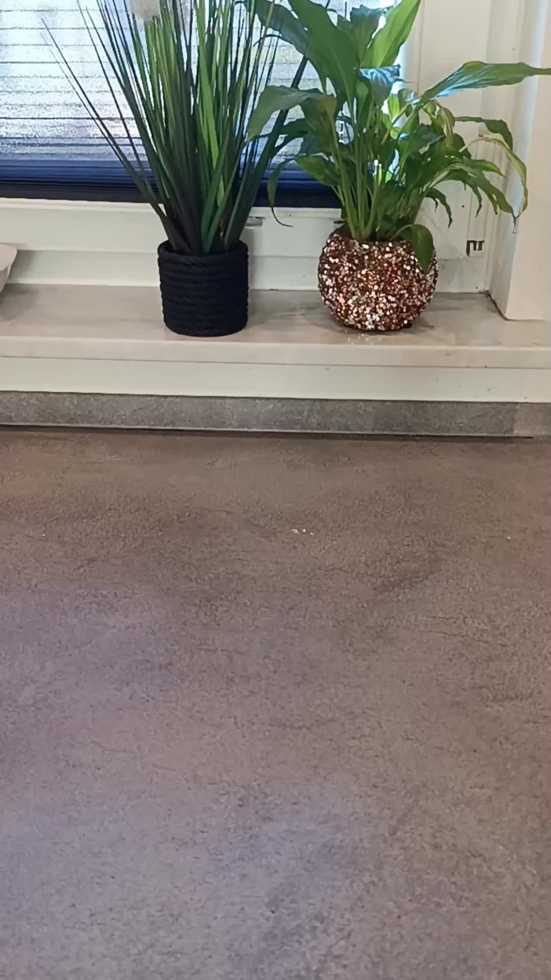 @EssenzFood