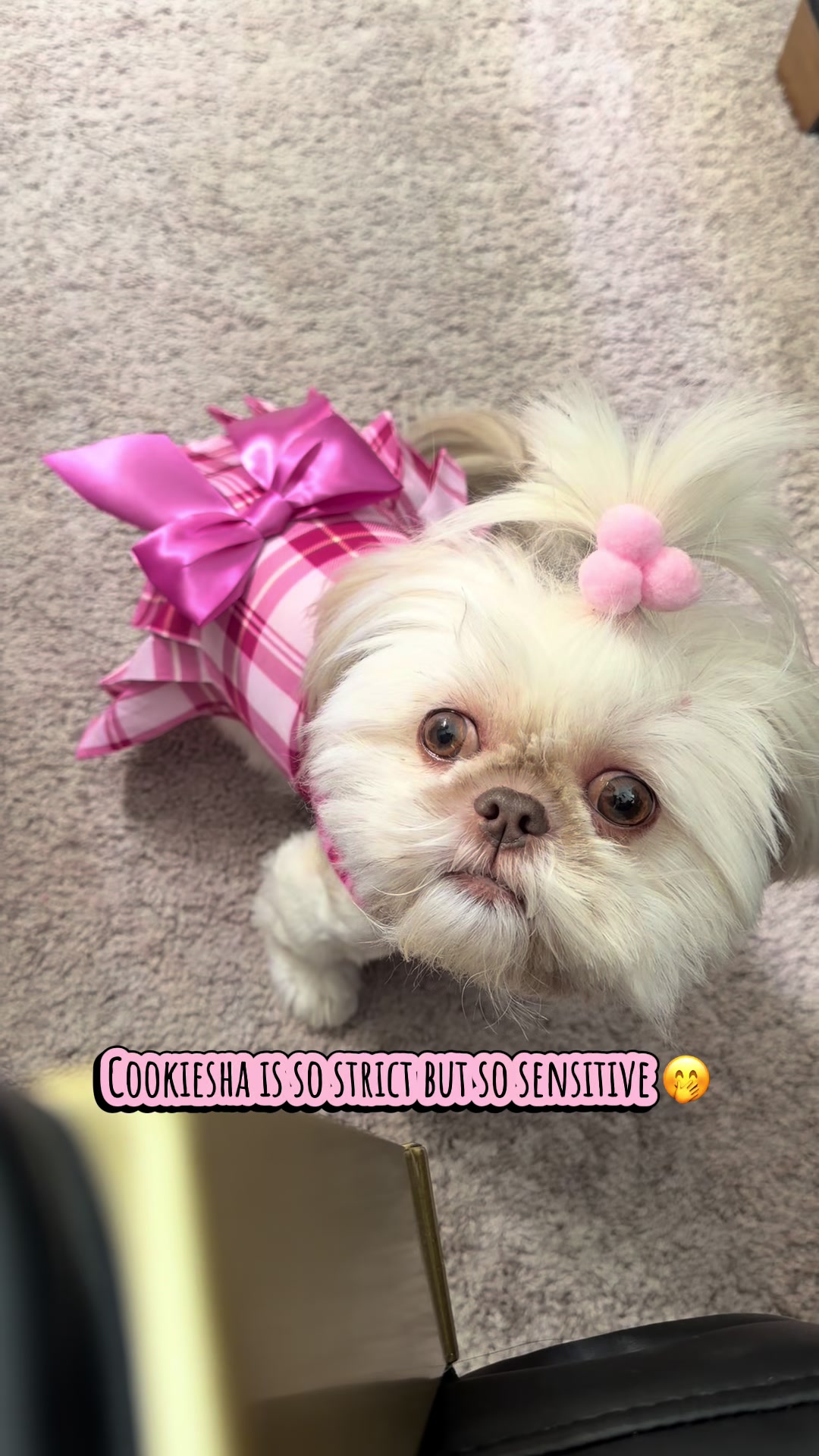 @nitaandcookiesha