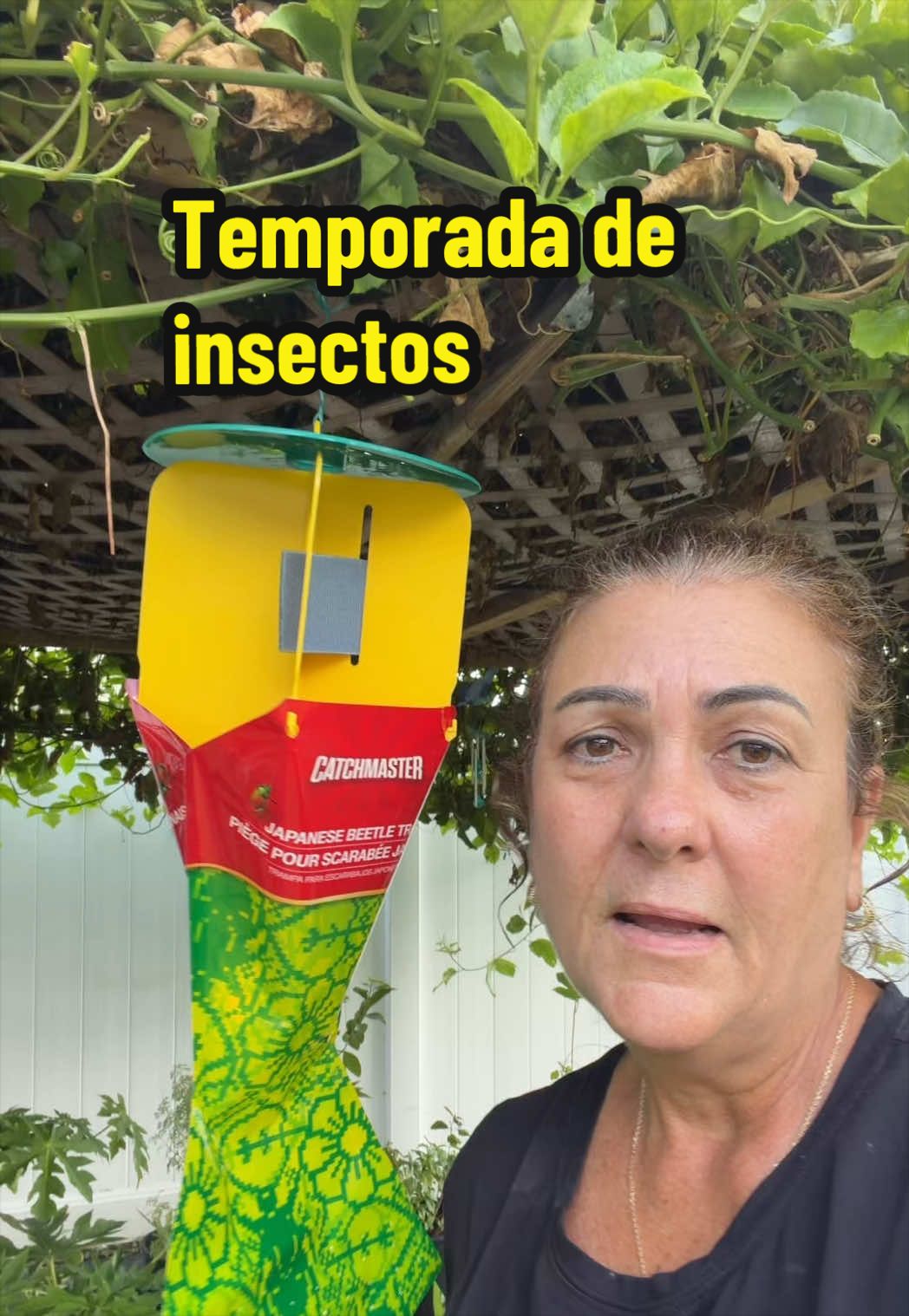@Aprendiendo con Ana