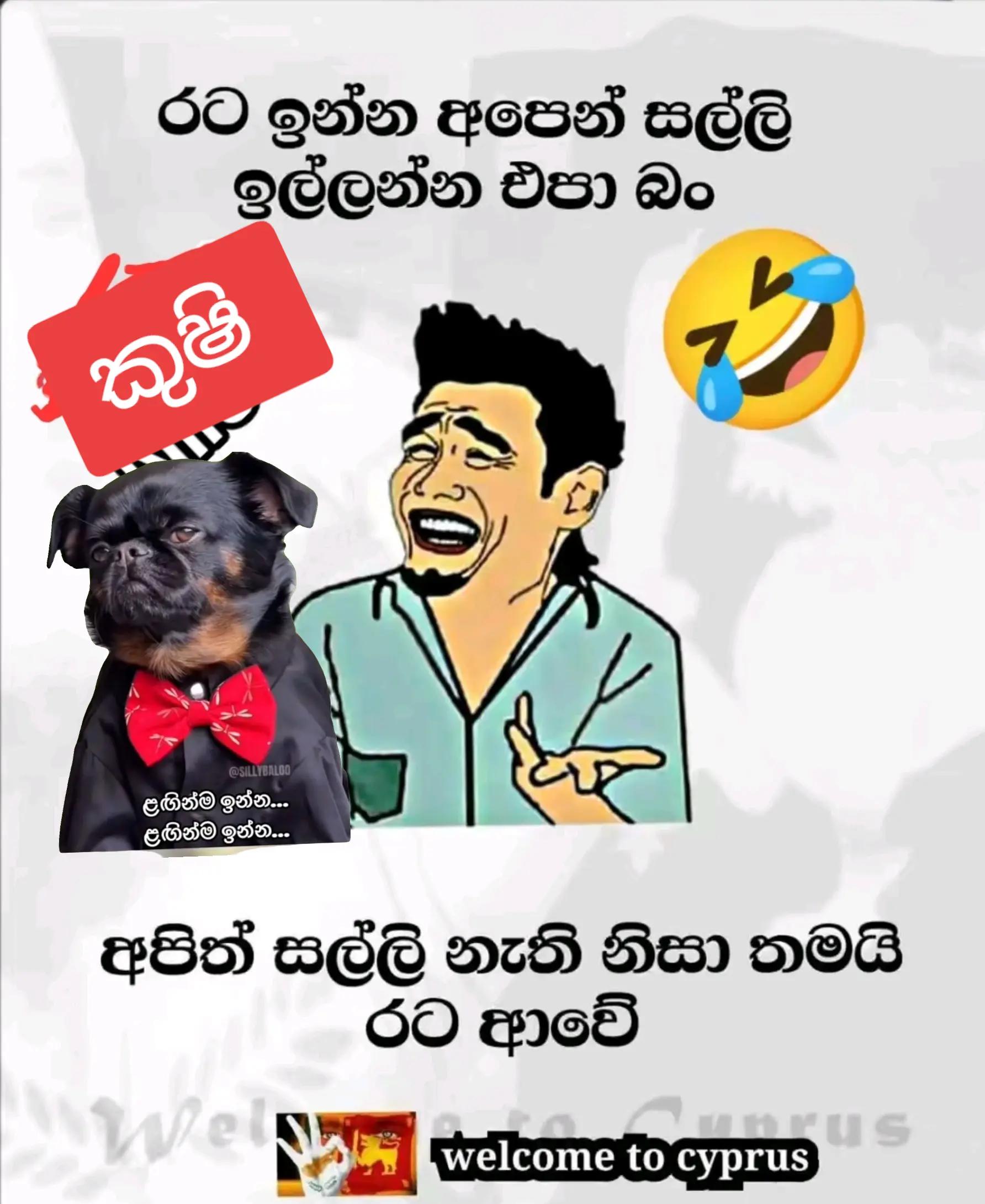 @🦋💫 සුදු නෝනා කුෂි ❤️🦋💫🇱🇰