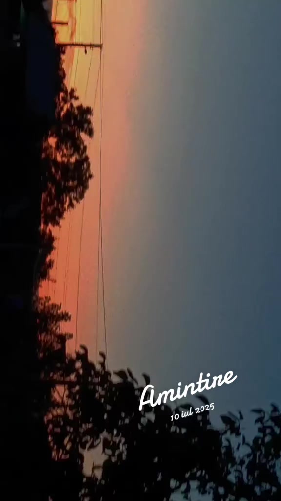 @nicoli.15.