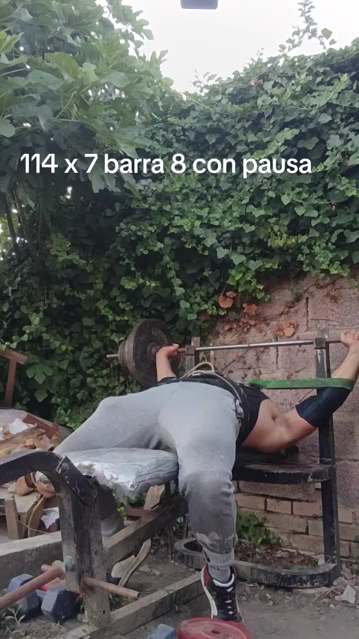 @GHISA🏋&zwj;♂️🦍E AGRICOLTURA👷&zwj;♂️