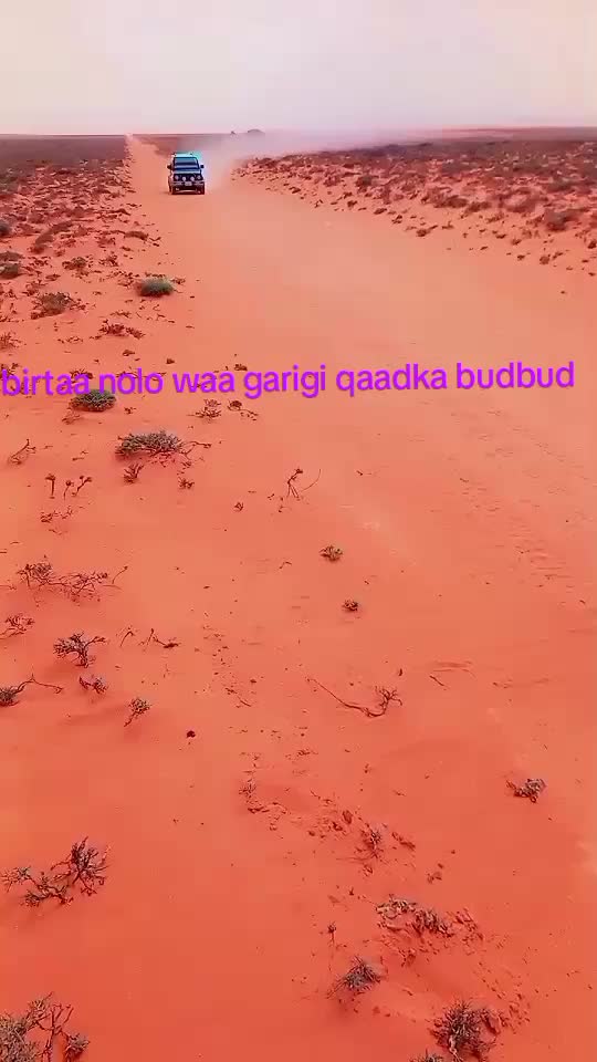 @maxamad yaare🇸🇴❤️💚👑👑🇸🇴