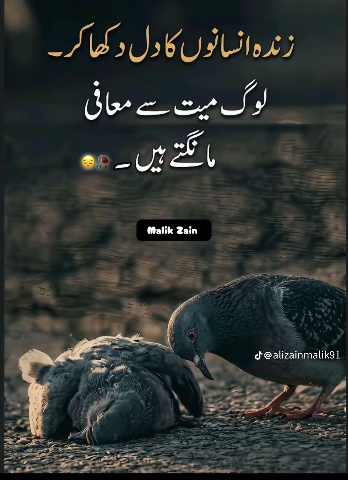@مہر اسد سلیانہ سیال