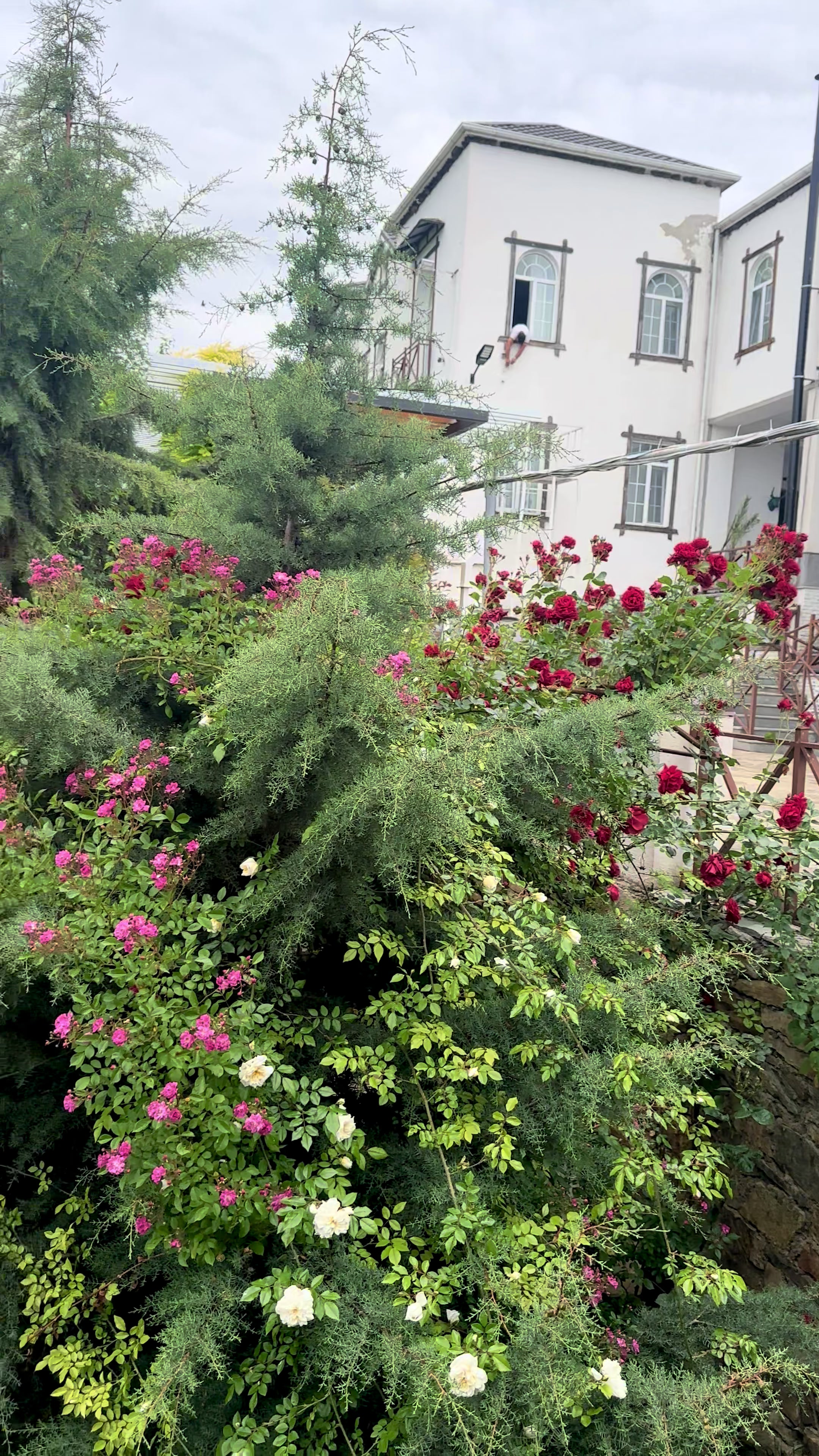 @meh_hotel_official