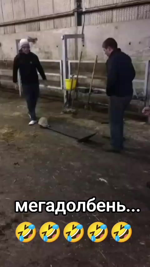@Дэнчик Кэт