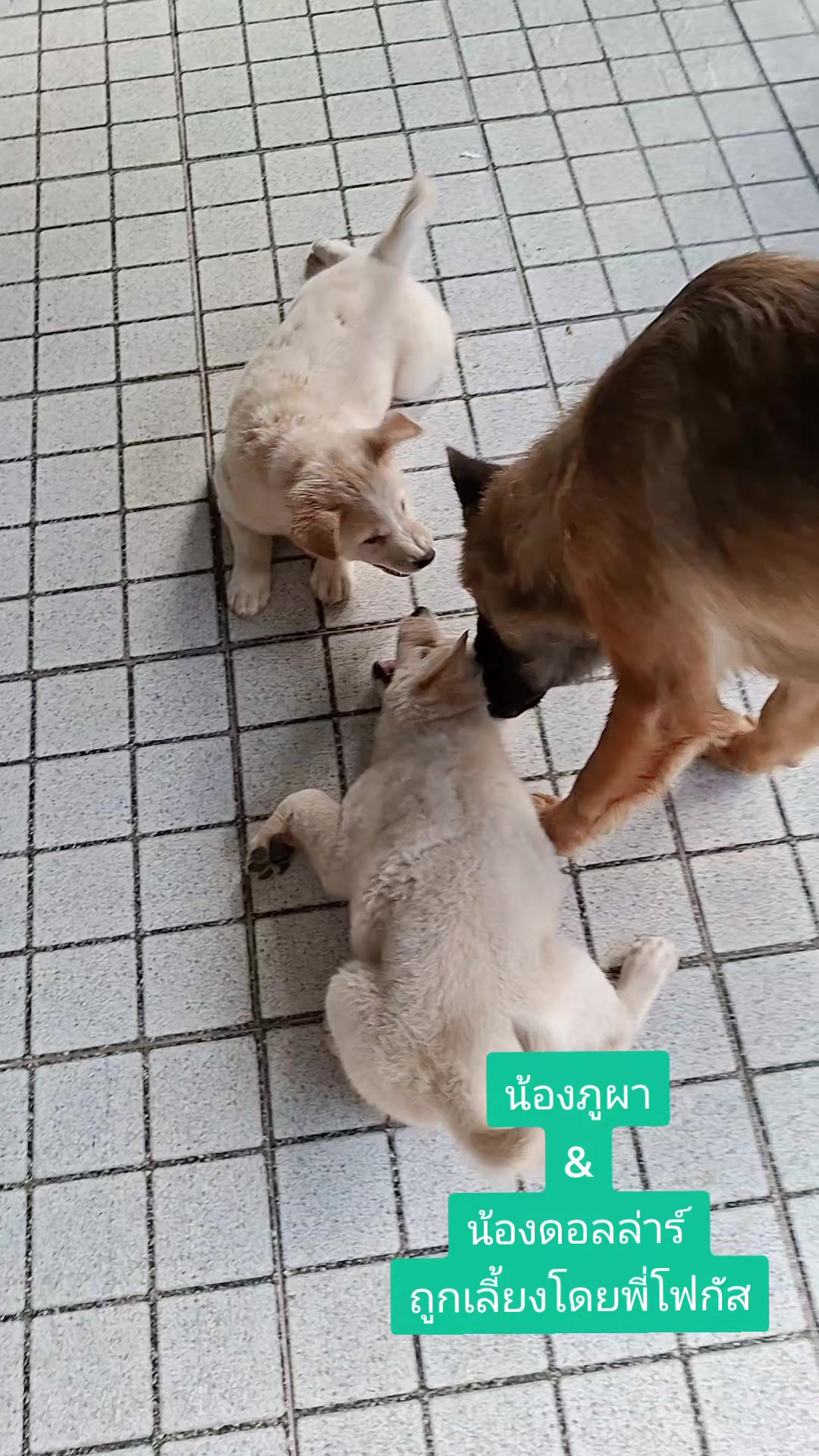 @หนึ่งเดียวบนโลกกว้าง