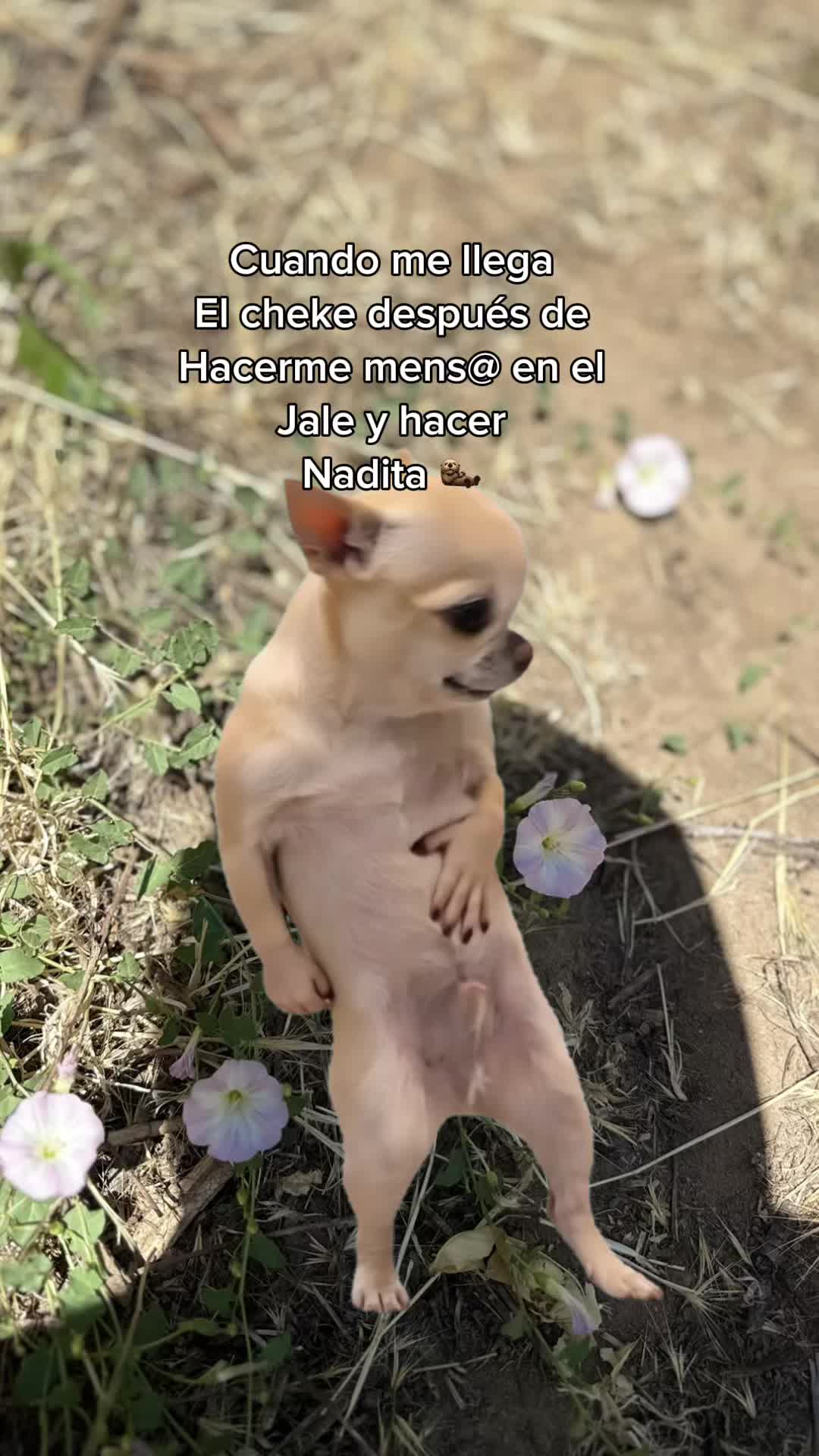 @🍒𝔽𝕝𝕠𝕣🍒🦋𝔸𝕣𝕖𝕝𝕚🦋