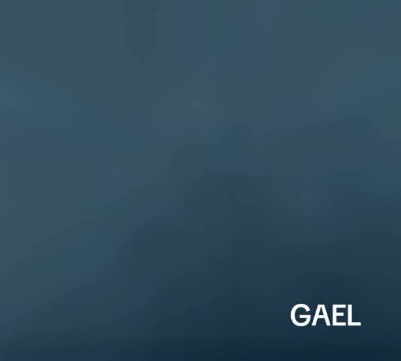 @GAEL
