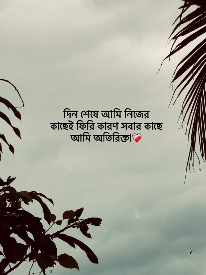 @Jit Baiddya🧃