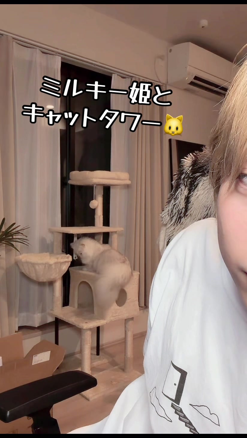 @kagi🗝️neco🐱②