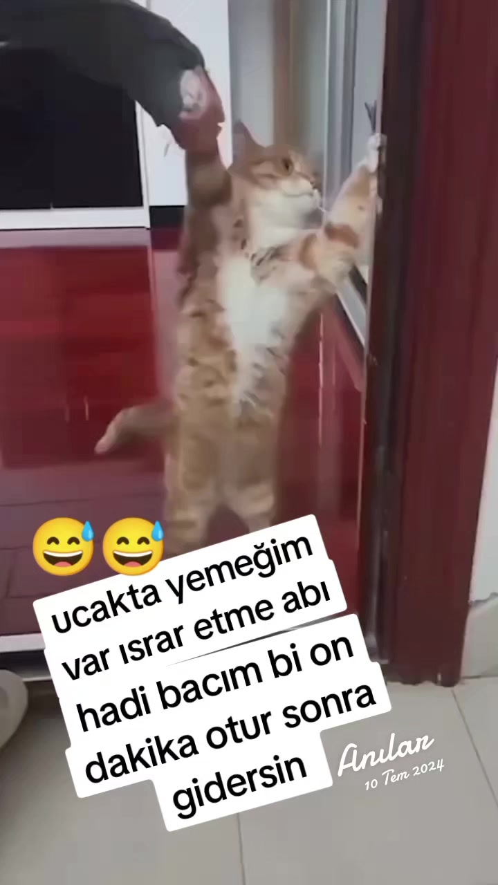 @gamzeli kızı 😊 minnoşlari