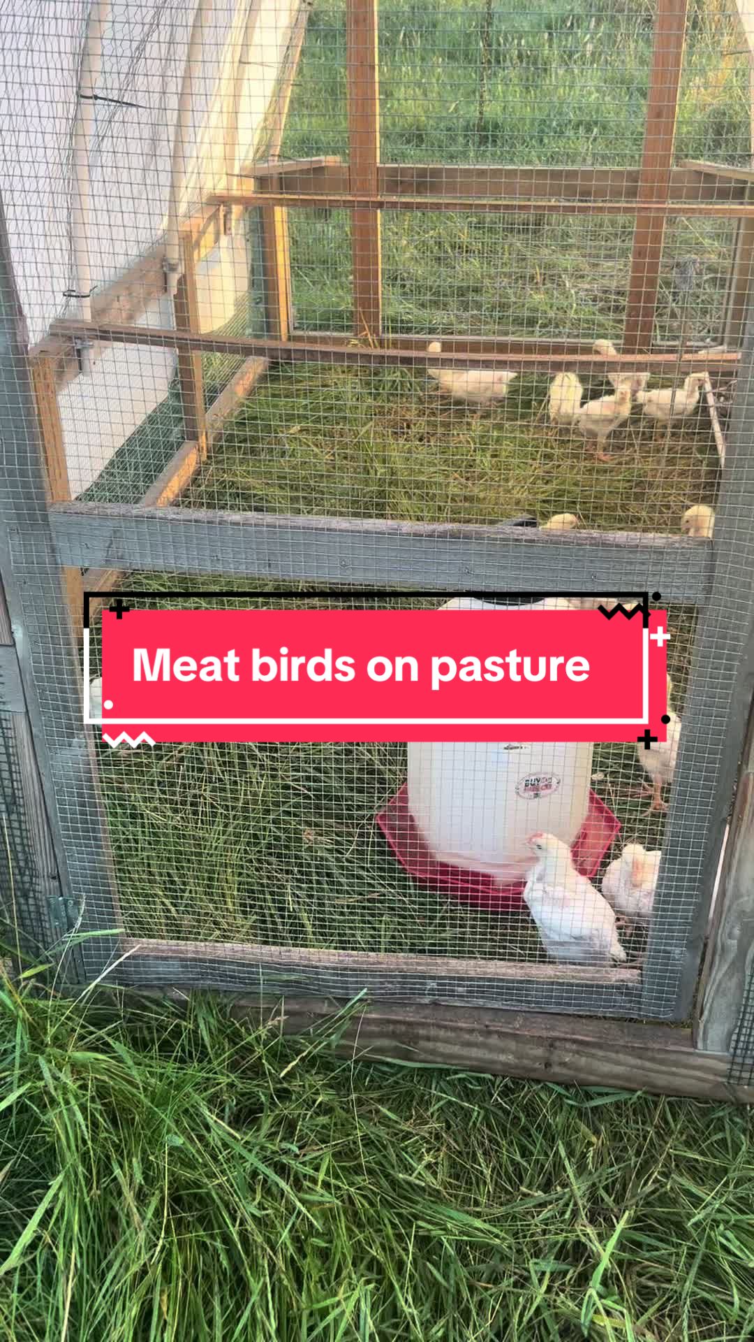 @littlesandycreekfarm