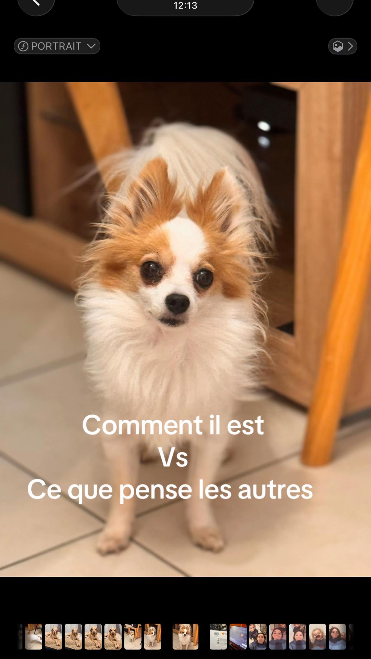 @Am&eacute;lie l&rsquo;Hypnotiseuse ✨