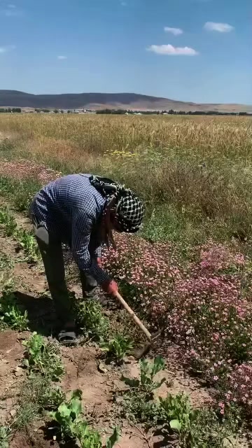 @Salih &Ouml;zt&uuml;rk