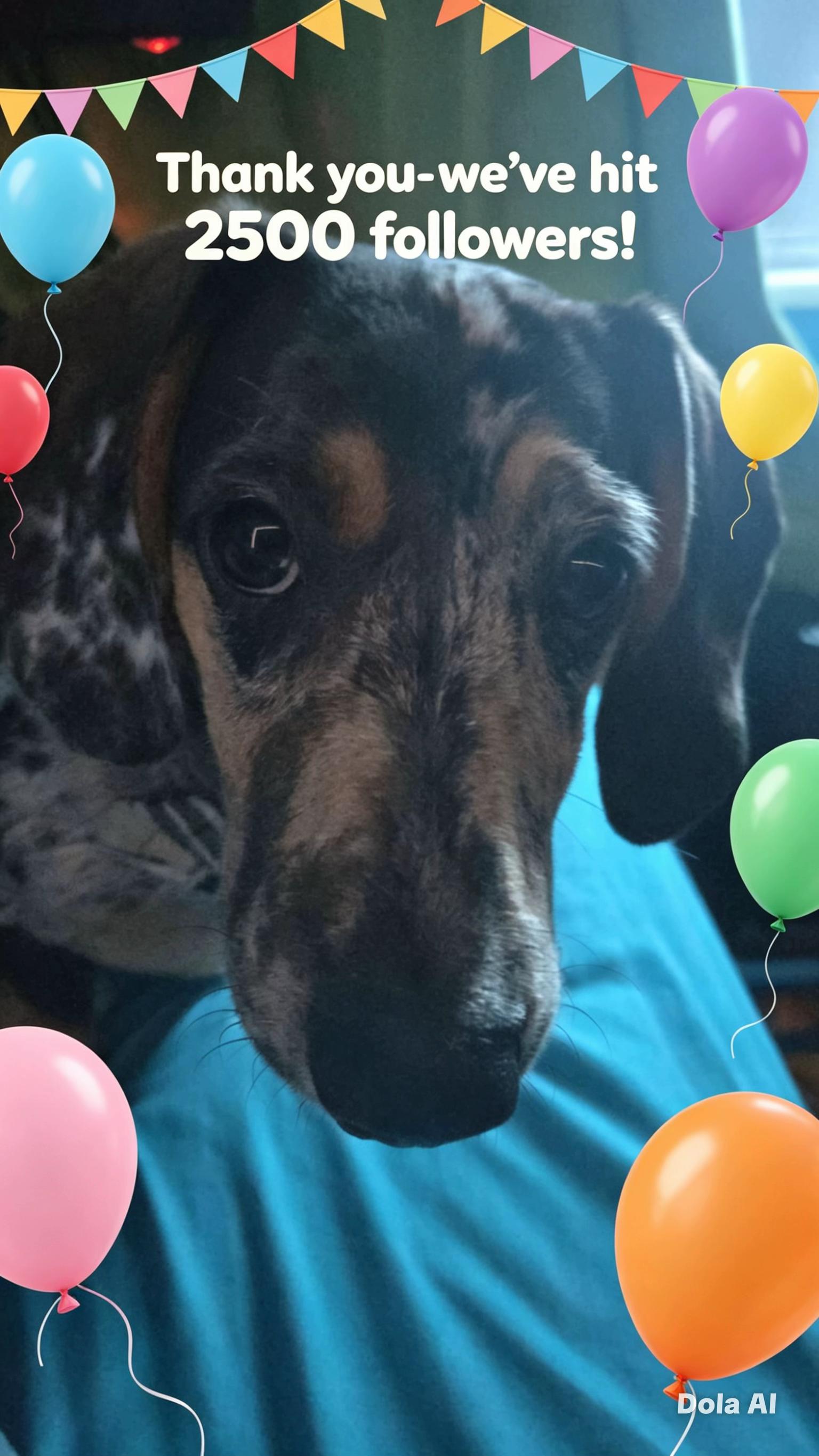 @Maverick The Dachshund
