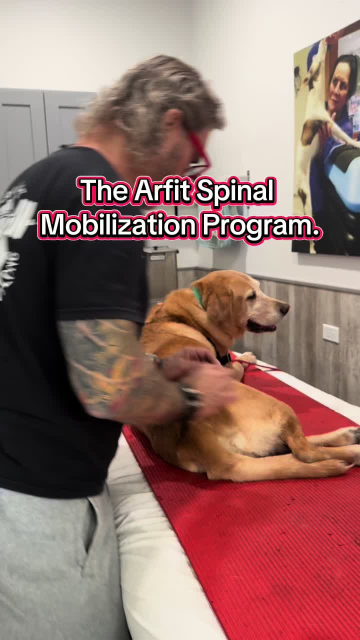 @ArfitDogRehabFitness