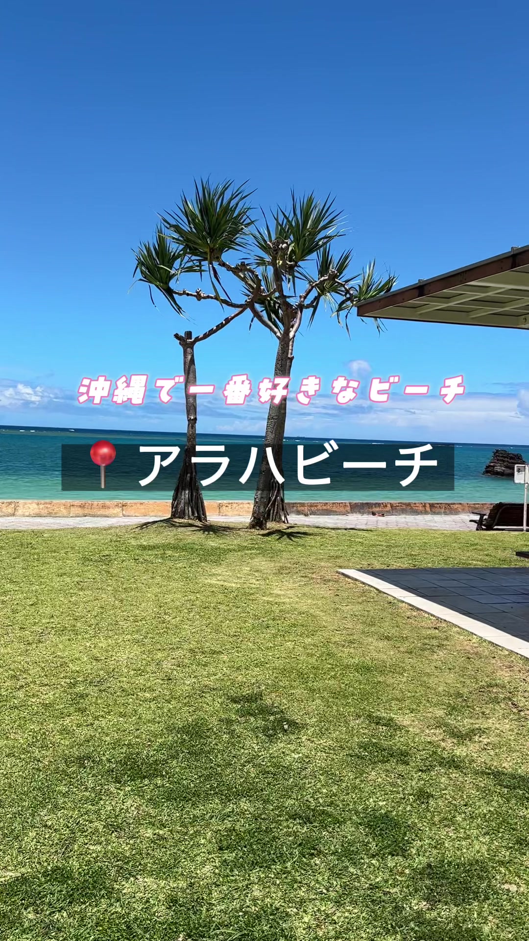@Umi｜日々の記録