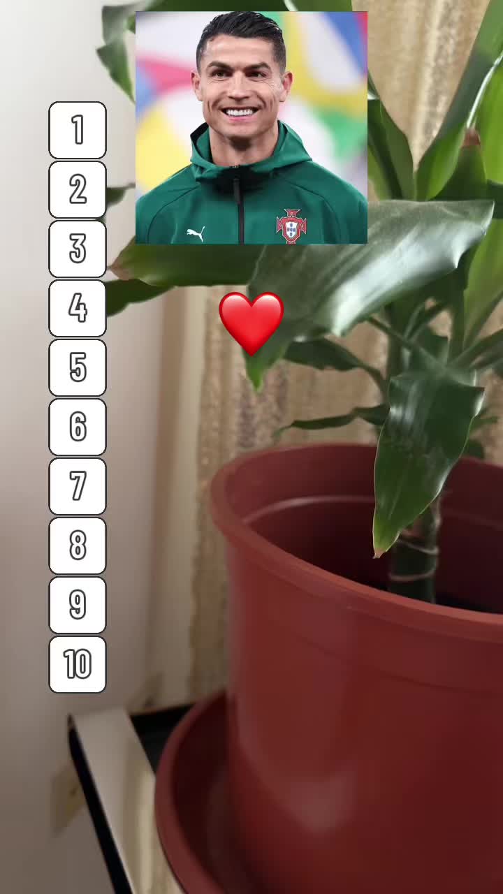 @shniad7