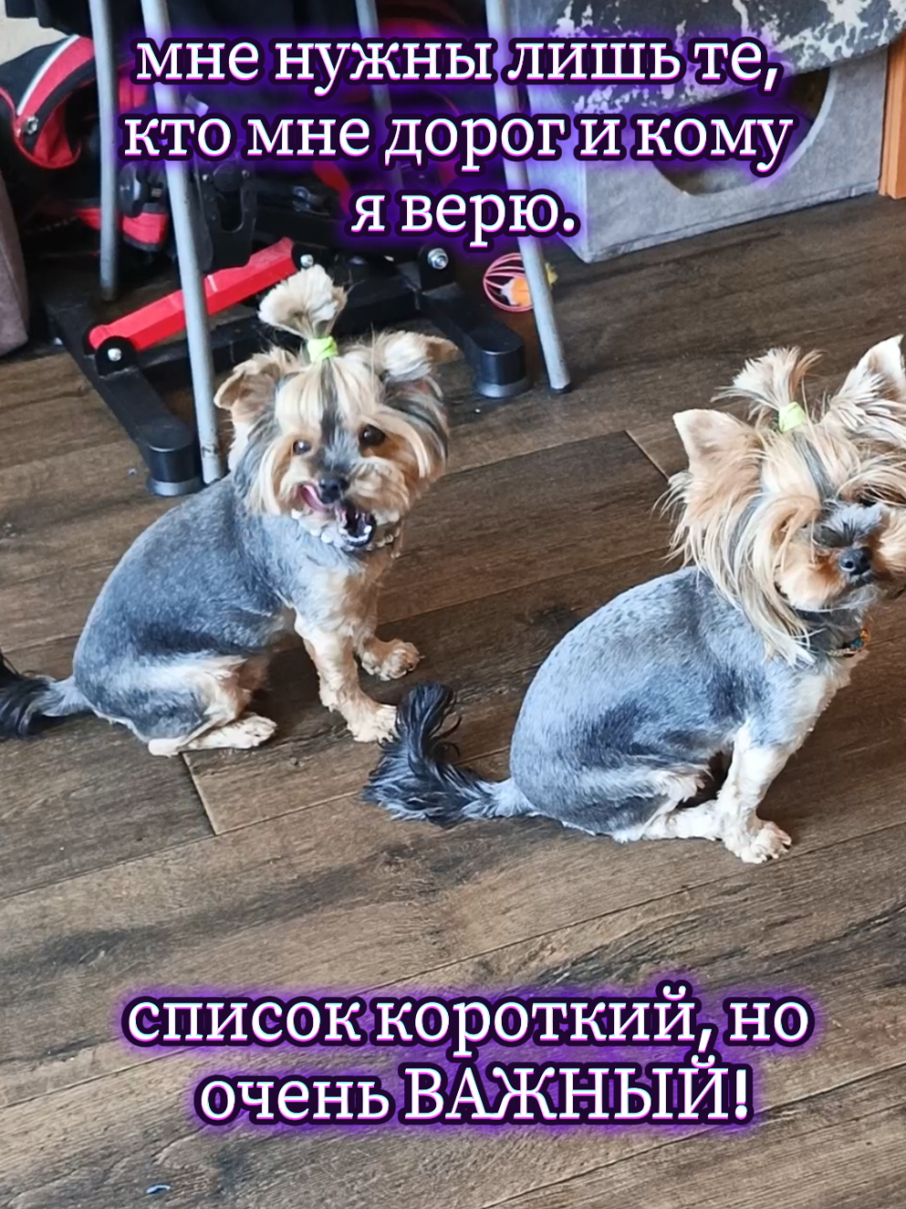 @Соня и Бетти ❤️