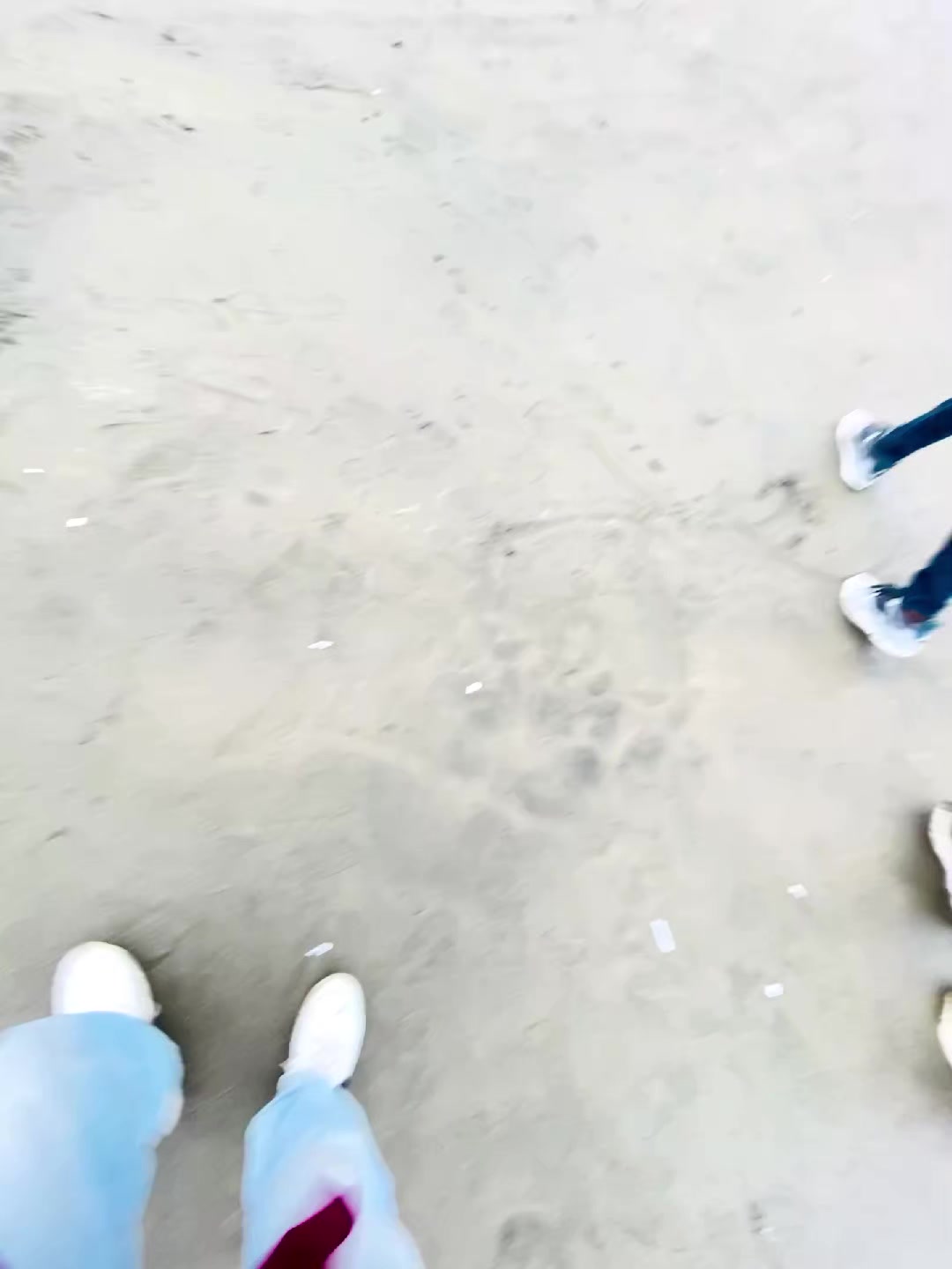 @R4muuuu🐚🕸️