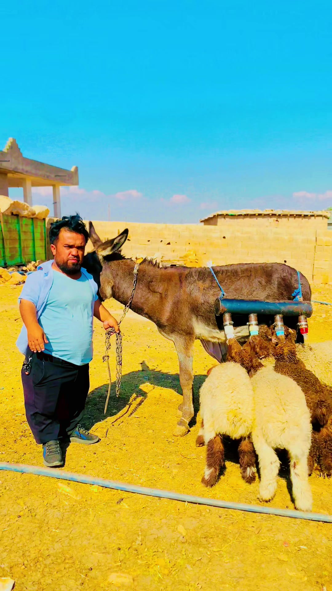 @SEDAT U&ccedil;&acirc;k|صدام العلي