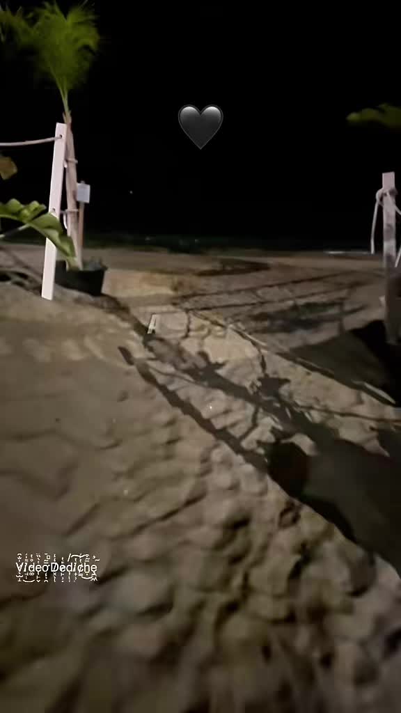 @𝐕𝐢𝐝𝐞𝐨𝐃𝐞𝐝𝐢𝐜𝐡𝐞