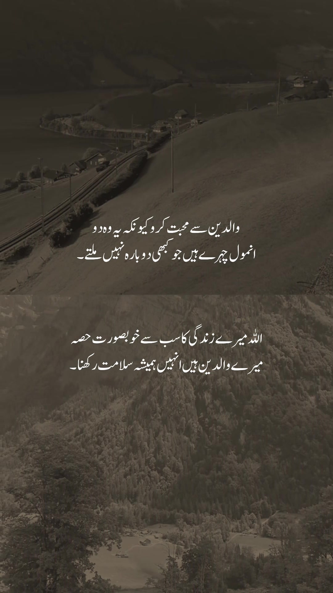 @𓆩شیراز𓆪