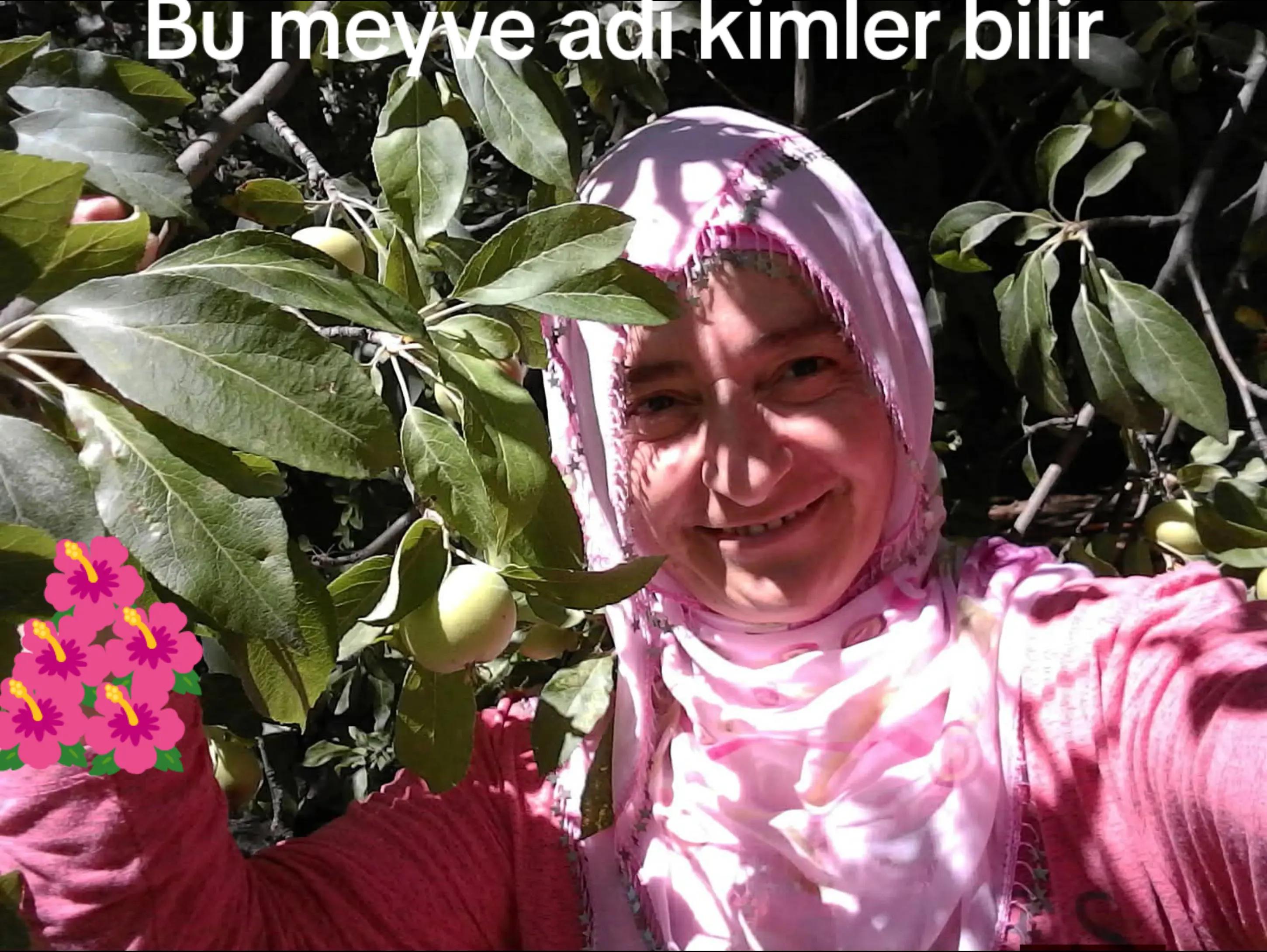@Şükran Yilmaz