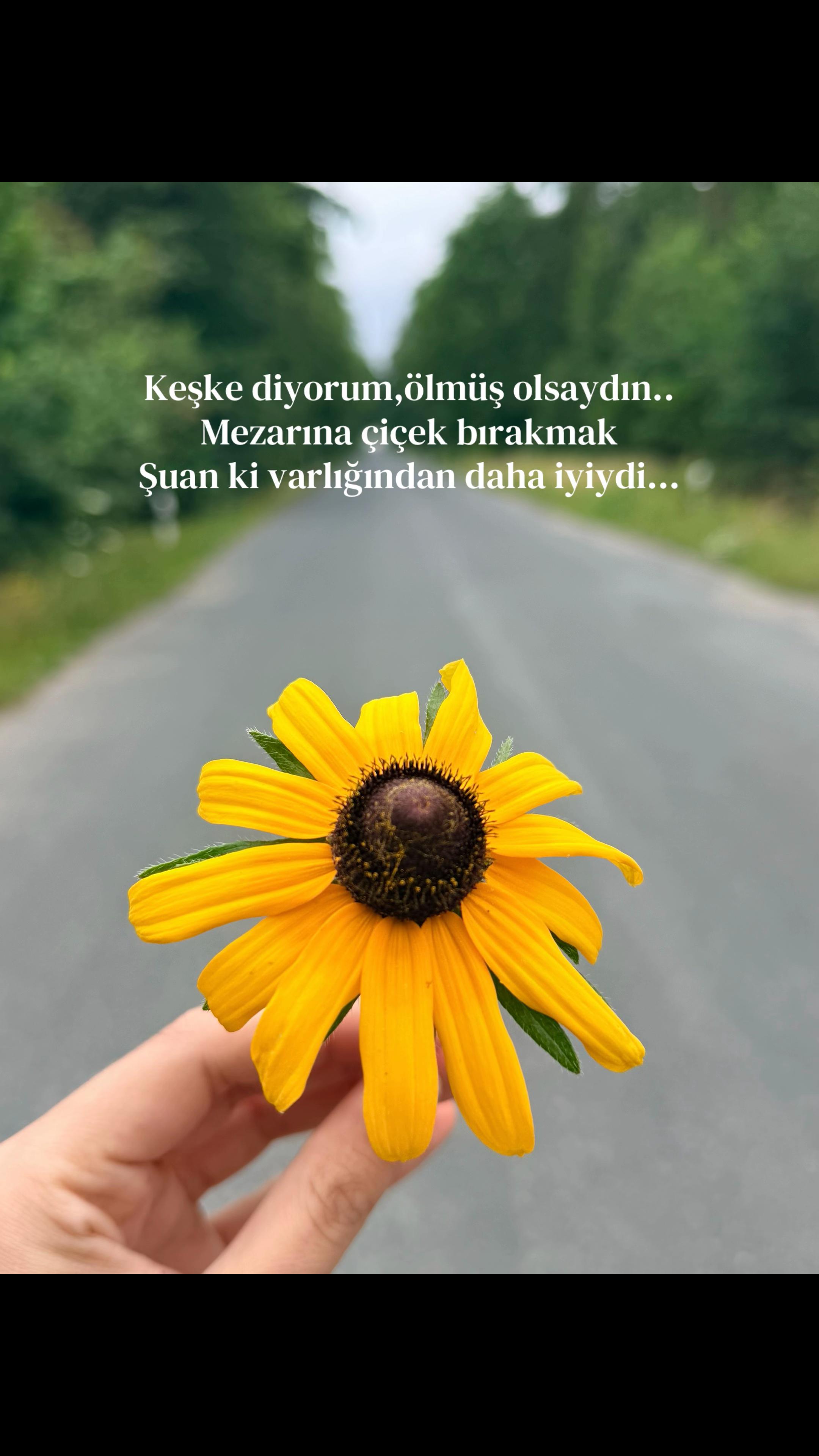 @𝓡𝓸𝓳𝓭𝓪☀️