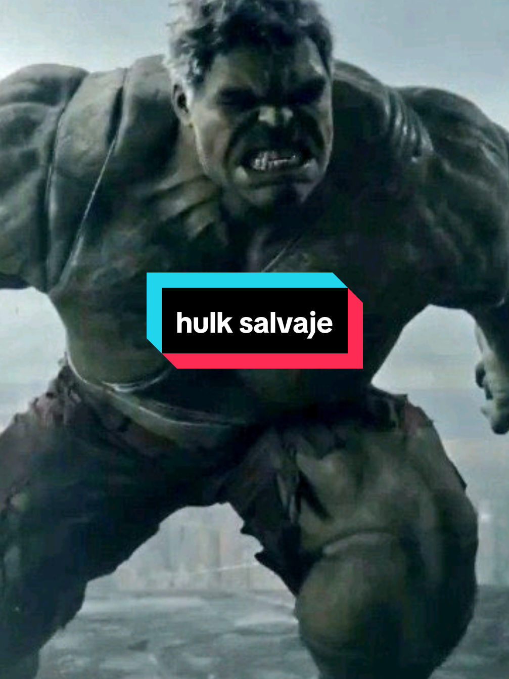 @》》》