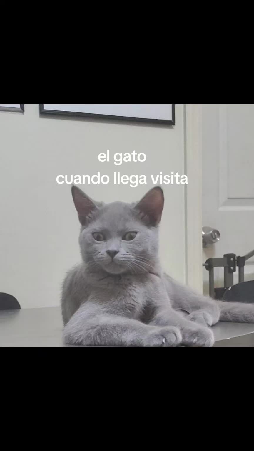 @Simba😽
