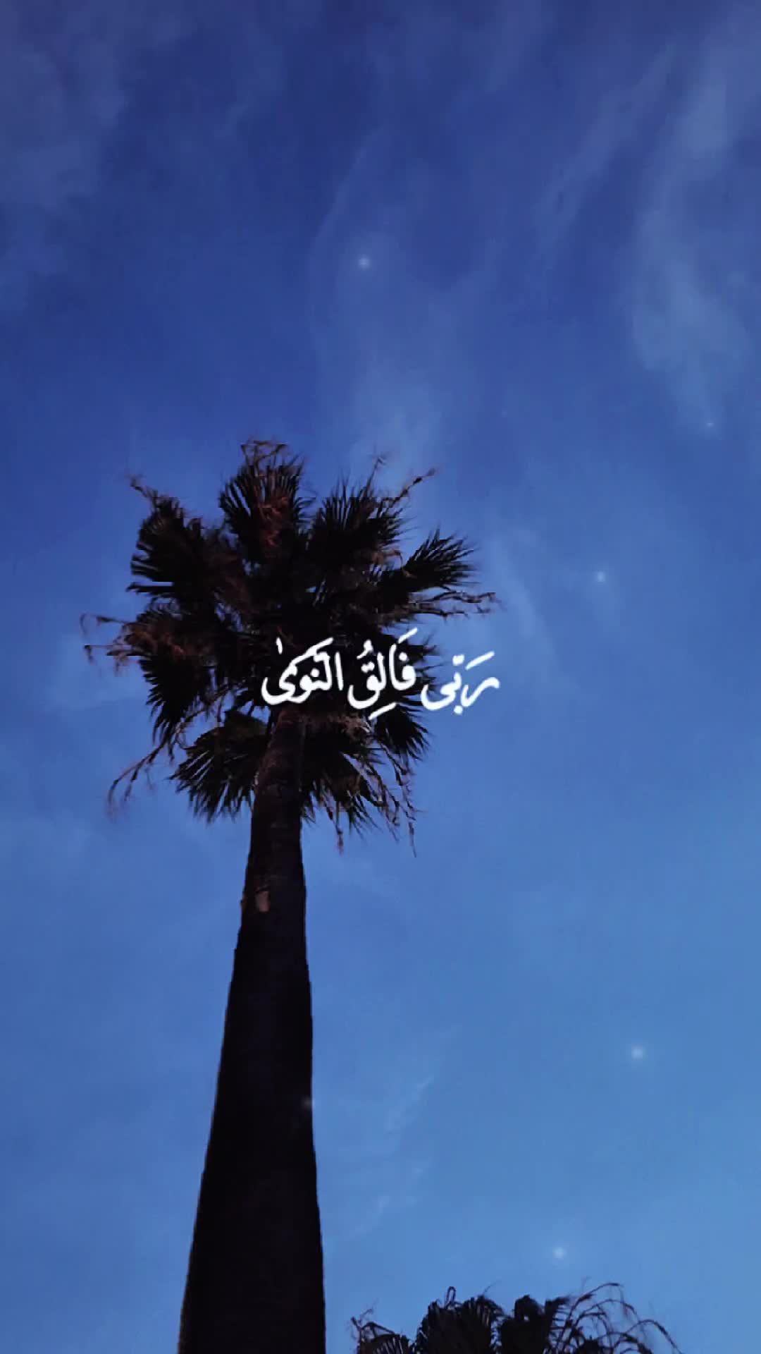 @𝐂 𝐔 ❌️ 𝐘