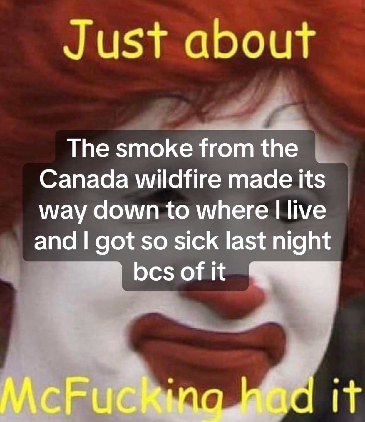 @Persephxne