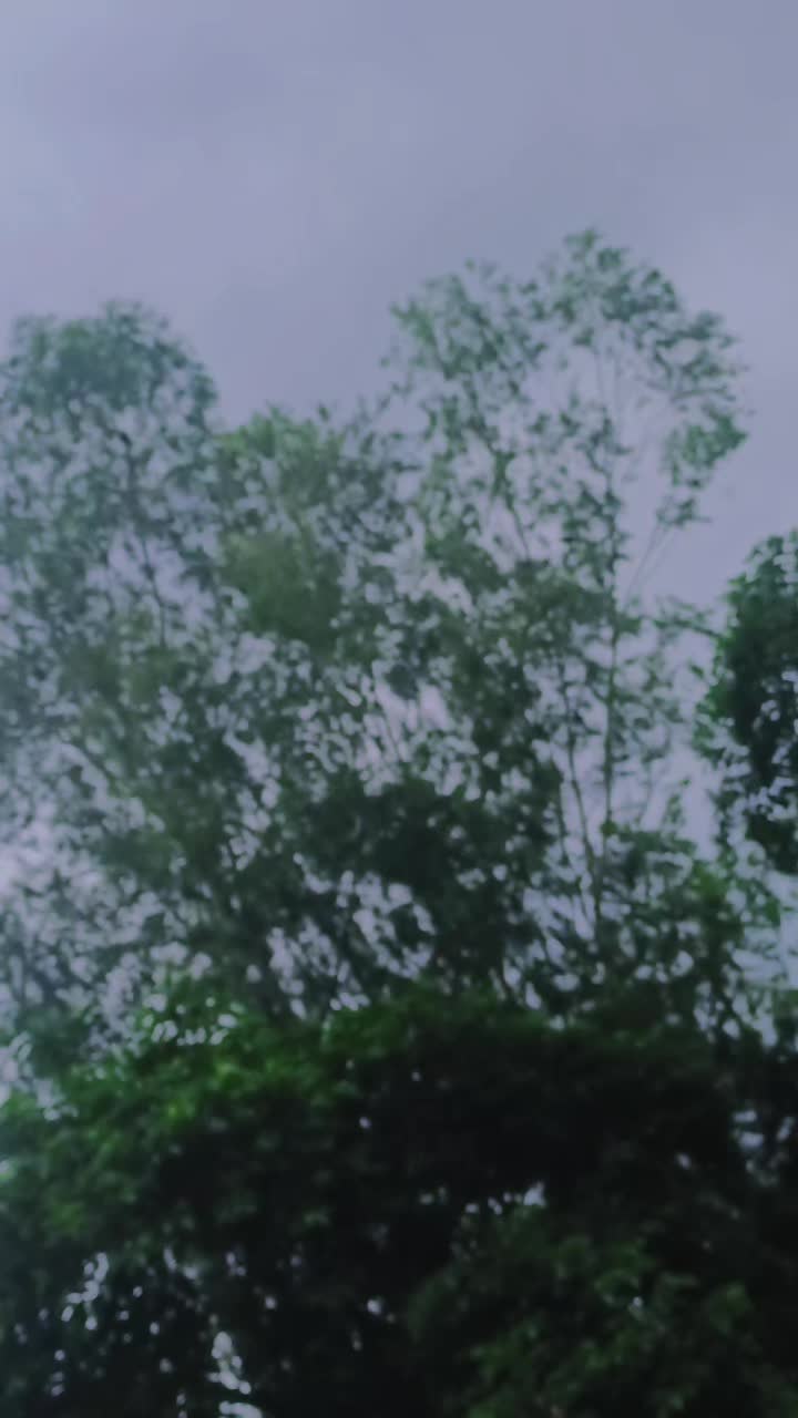 @🍁𝐒🌎𝗡𝐔🦋🦚
