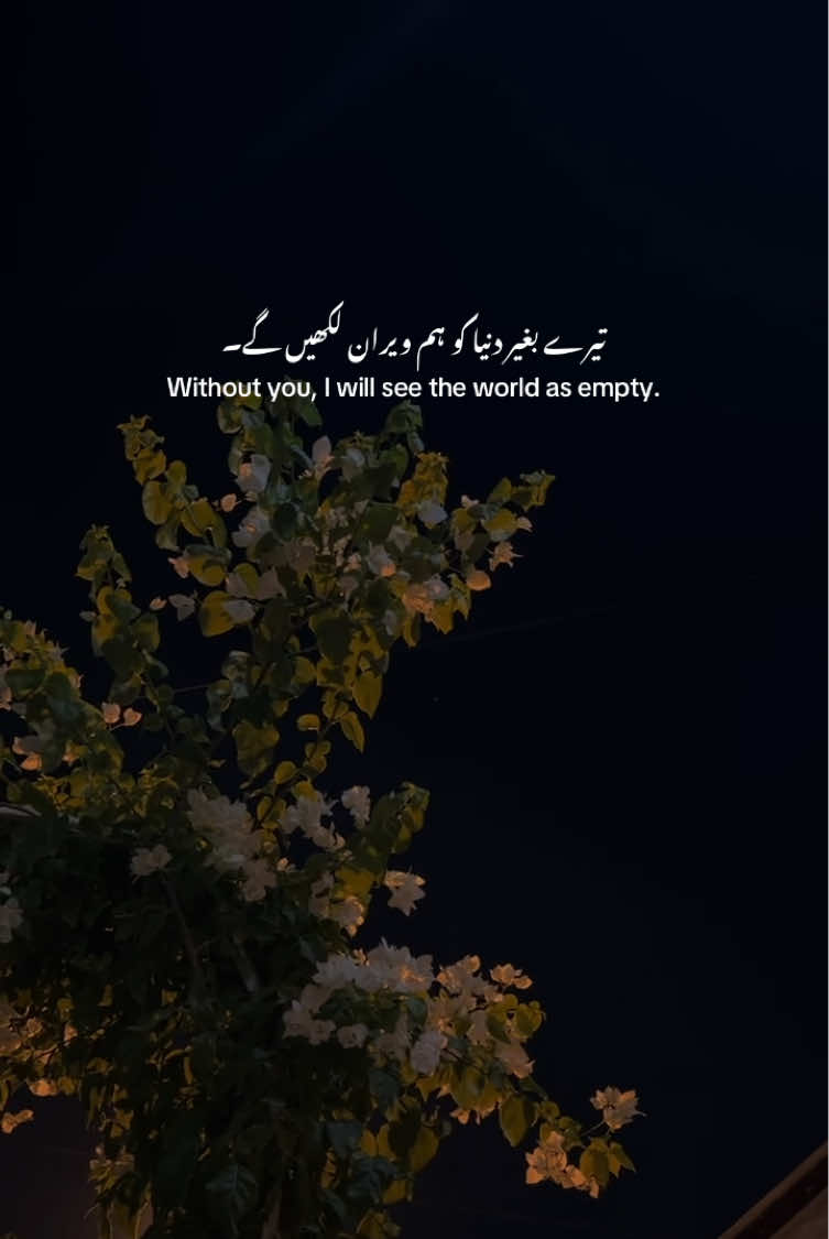 @🍁 ɴᴏᴏʀ ᴠɪʙᴇꜱ 🍁