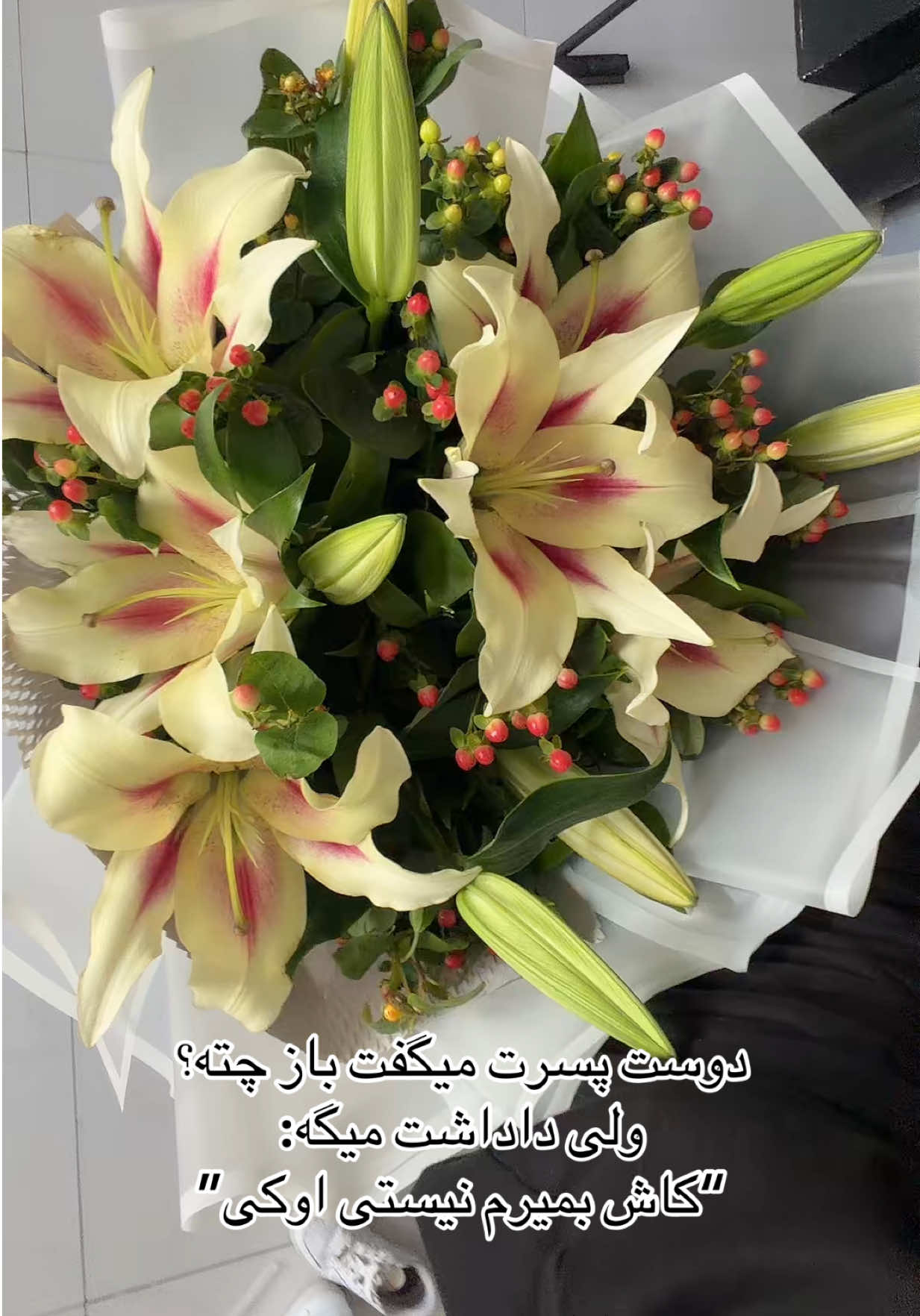 @dina_2643