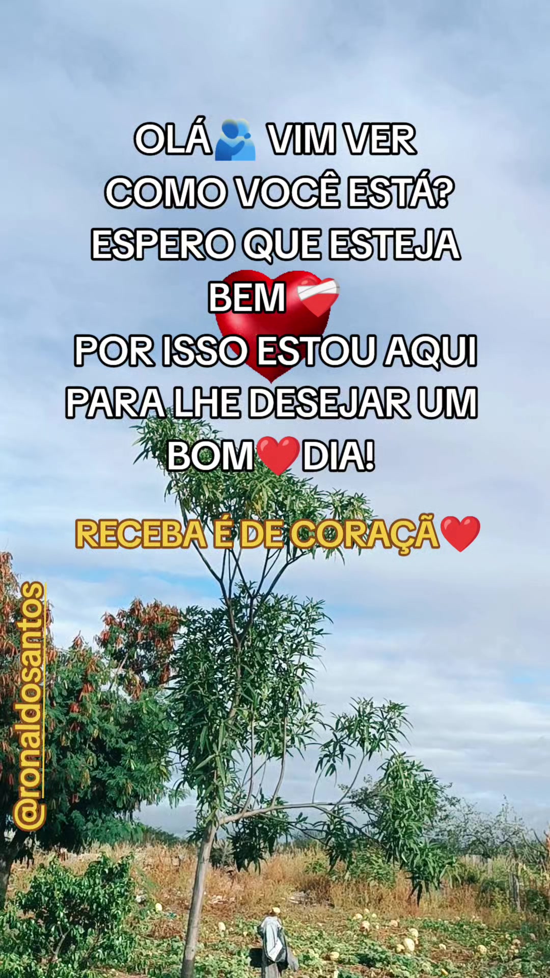@ronaldosantos
