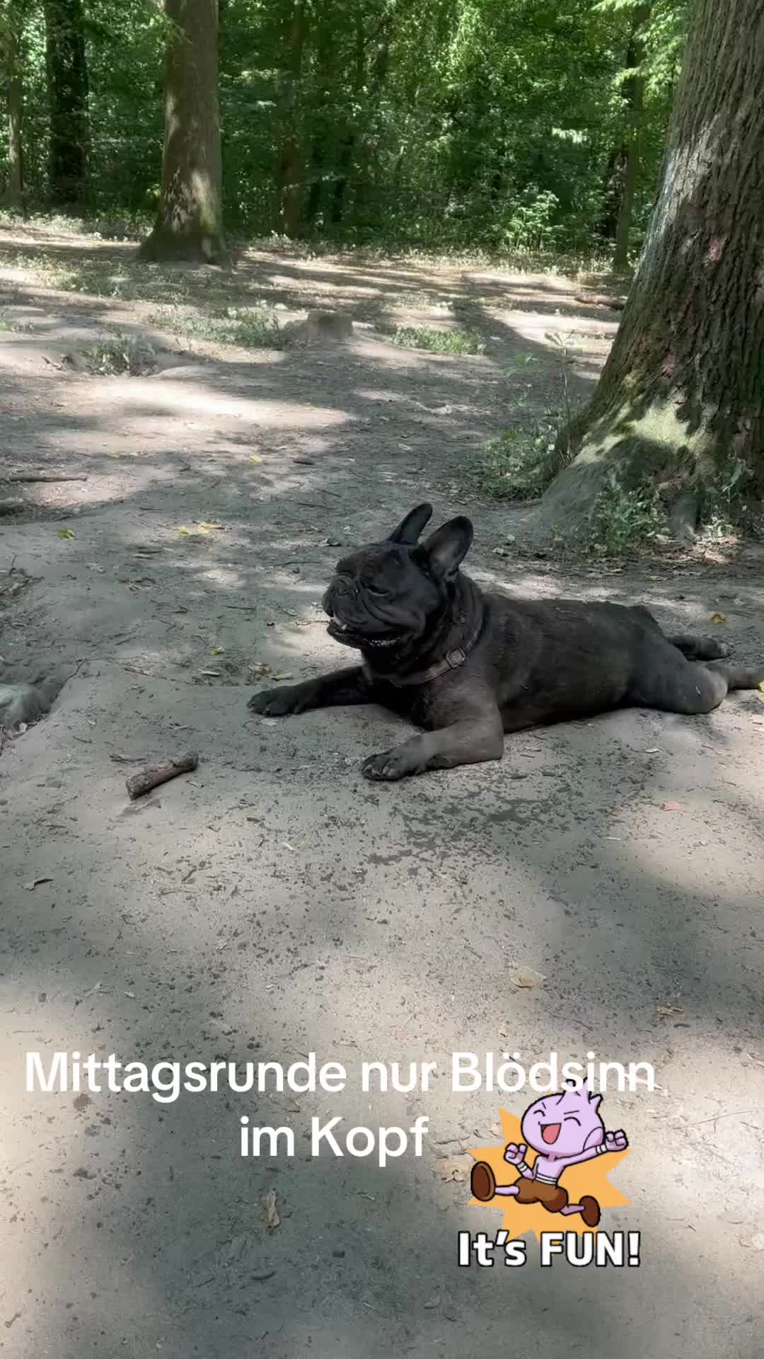 @The_chaos_frenchi