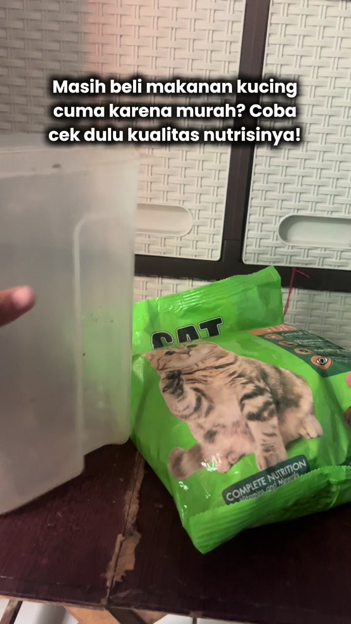 @Nita dan para kucing🐾