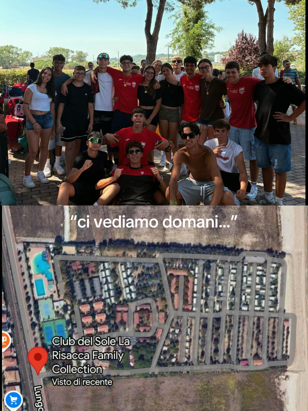 @gine_bacco