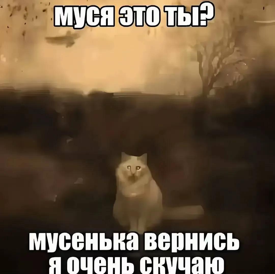 @z1prix (манго)