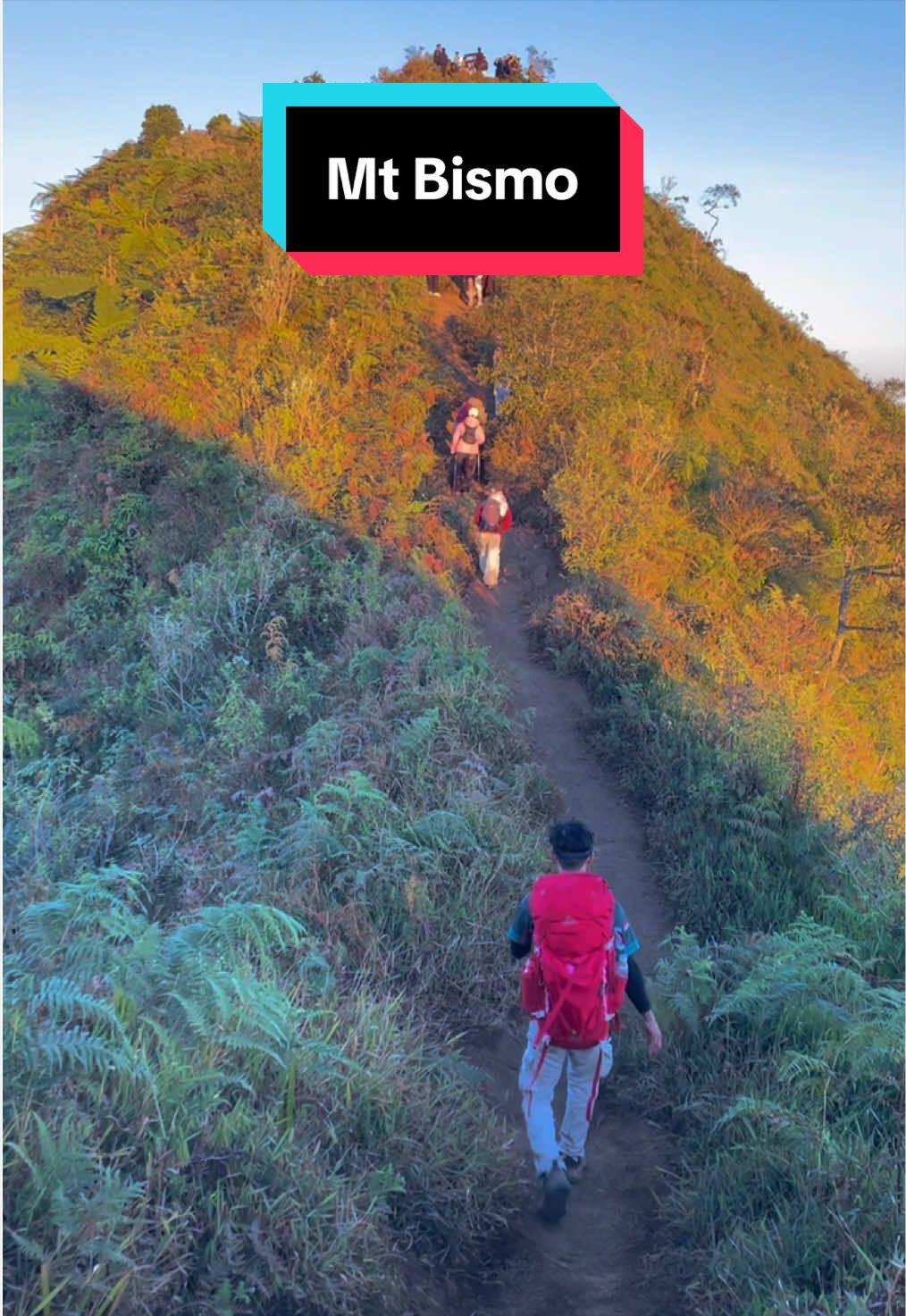 @𝑷𝒂𝒊𝒋𝒐 𝑪𝒉𝒂𝒏𝒏𝒆𝒍