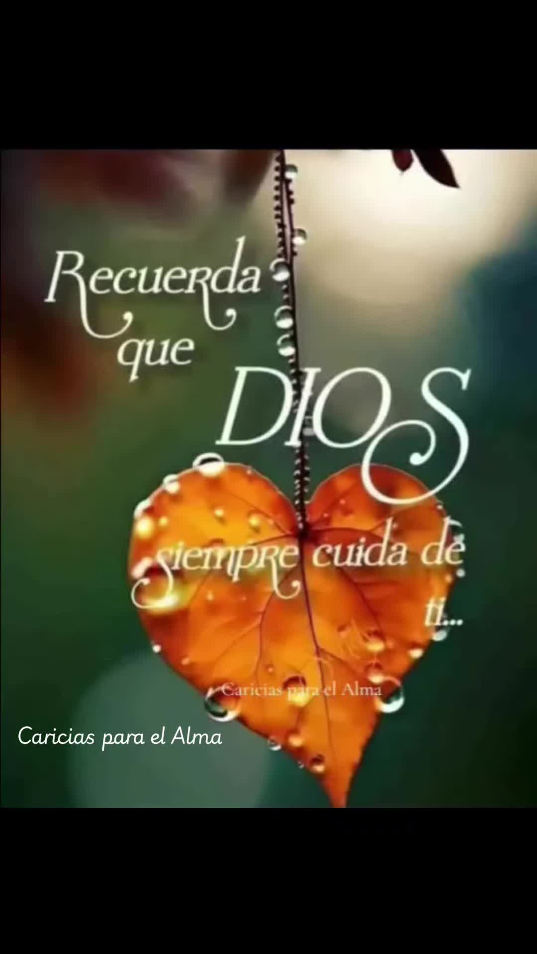 @Fernanda Stricker