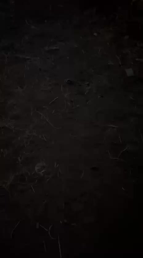 @NOVA_BOHAY3(🦂)