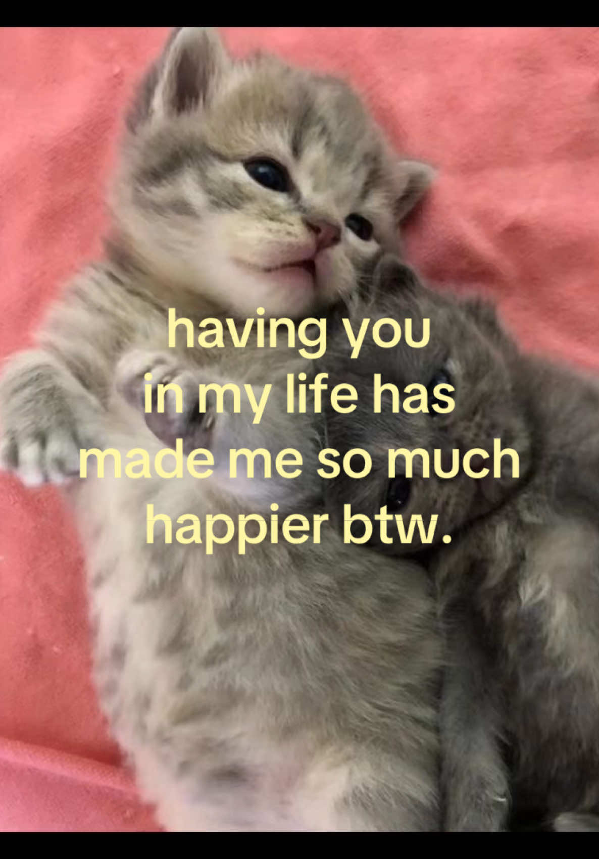 @iseenthisinmydream