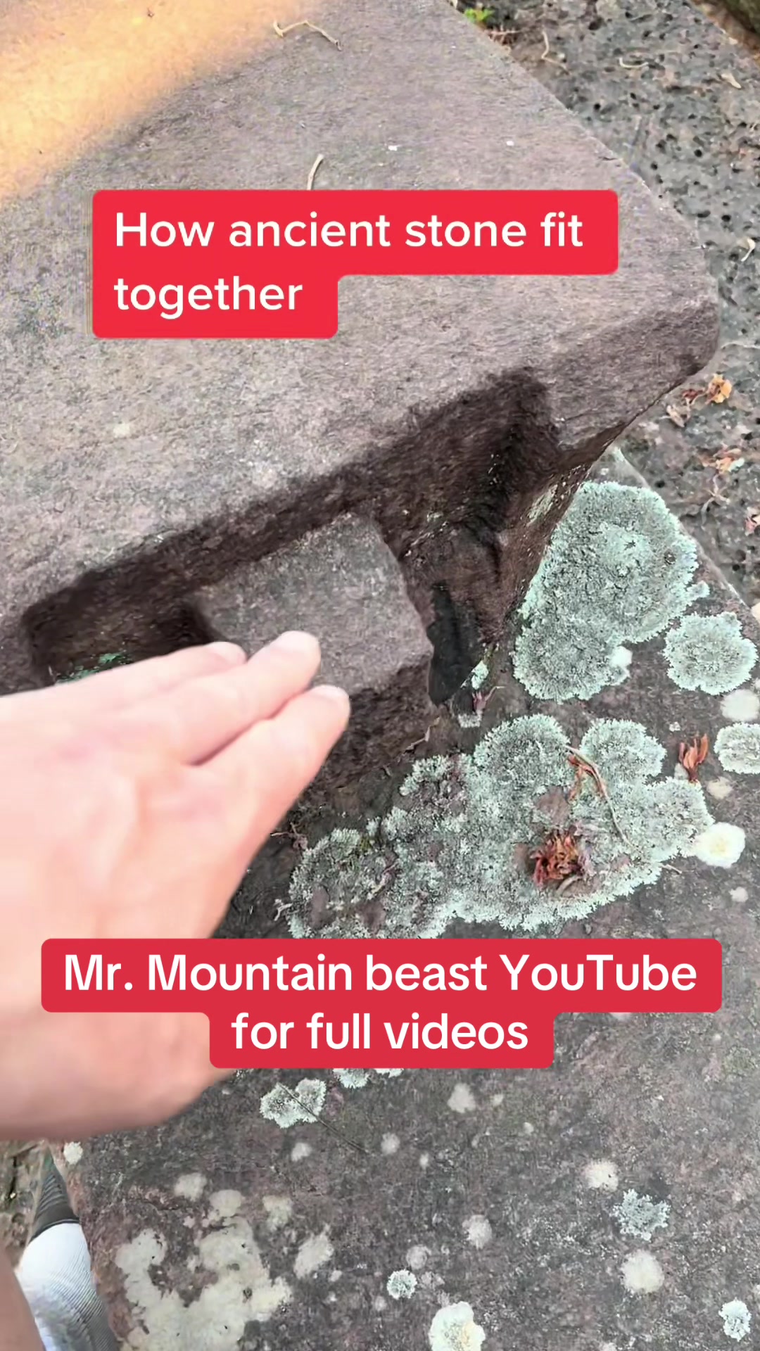 @Mr.mountainbeast