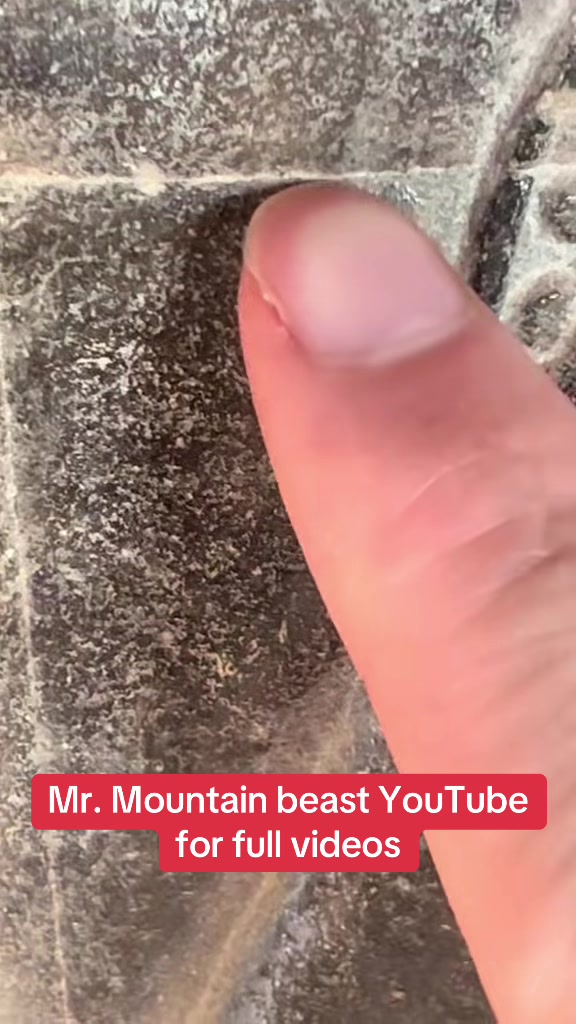 @Mr.mountainbeast