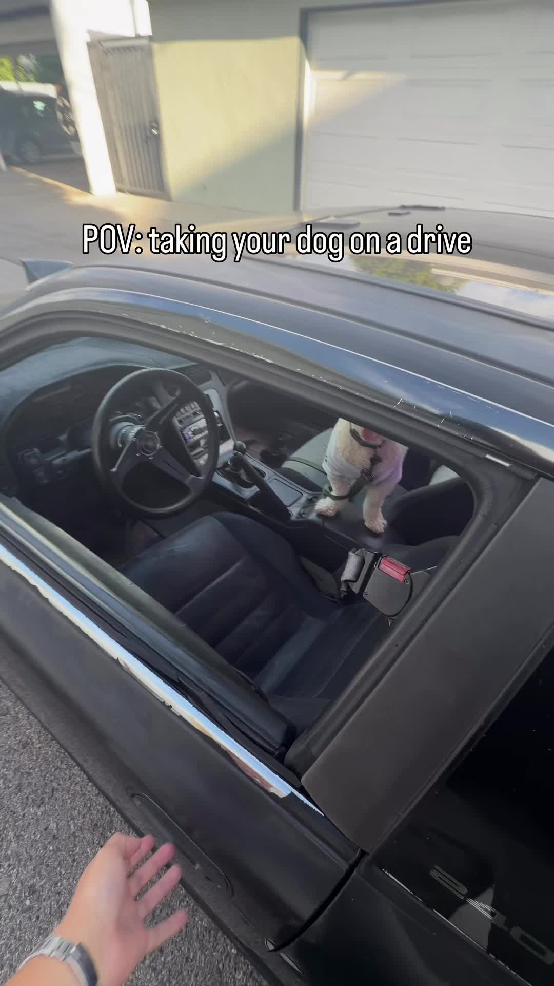 @notdavid40sx